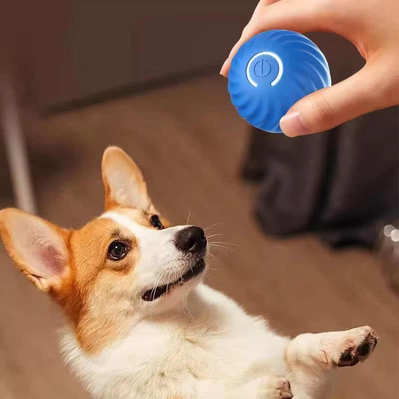 Automatic Moving Dog Toy Ball Smart USB Puppy Ball Toys